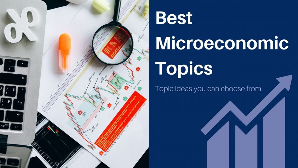 Microeconomics Dissertation