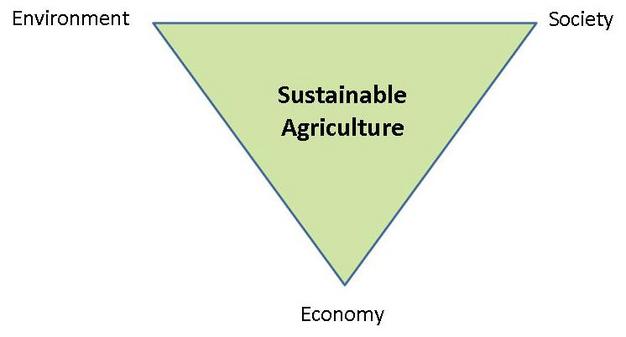 'sustainable