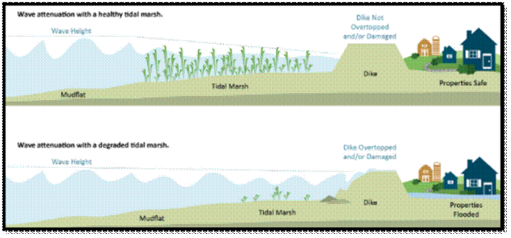 Figure from dissertation sample