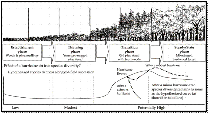 Related image